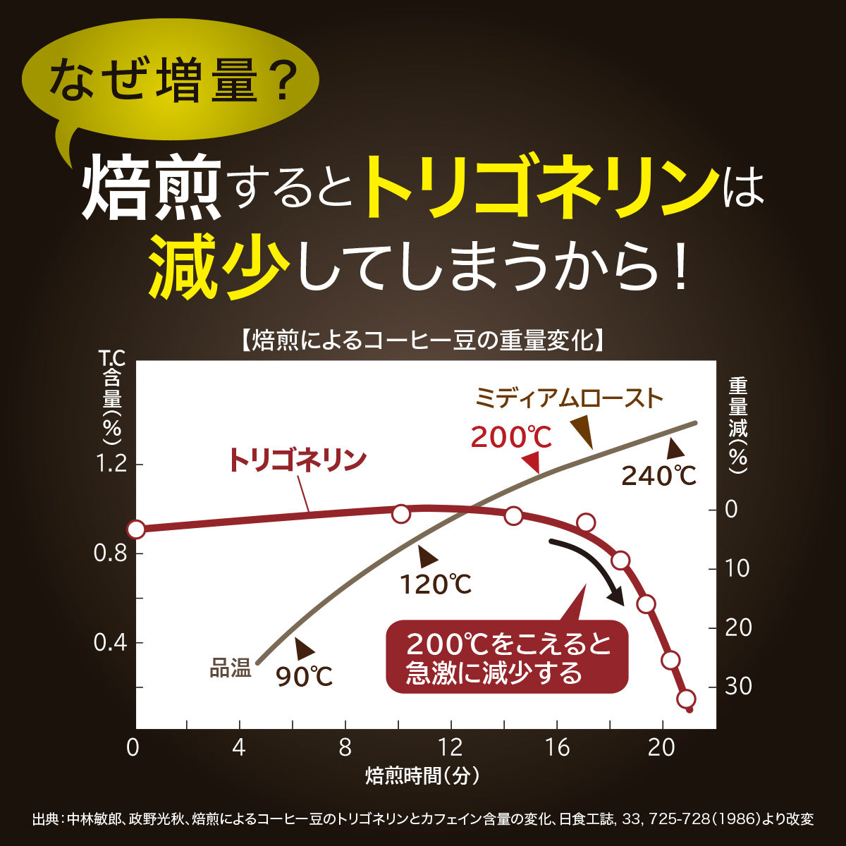 トリゴネージ コーヒー　ブルーマウンテン　No．1ブレンド