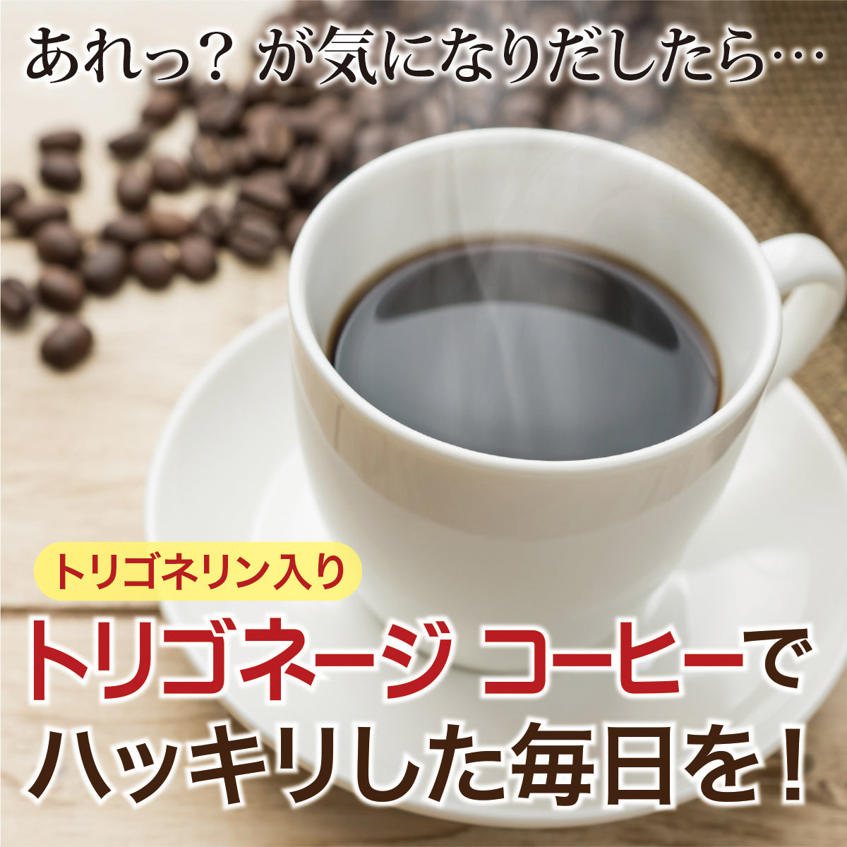 トリゴネージ コーヒー　ブルーマウンテン　No．1ブレンド